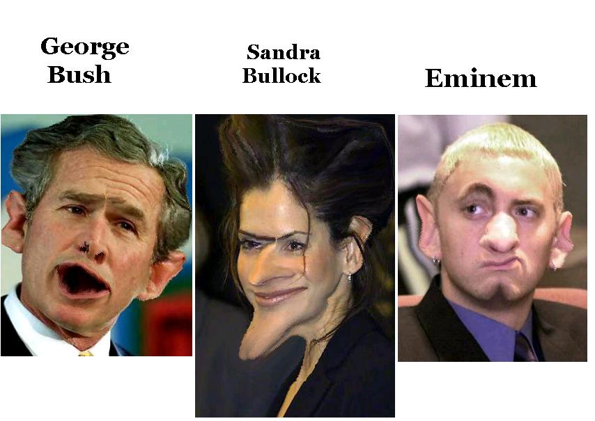 rbberfcs.jpg